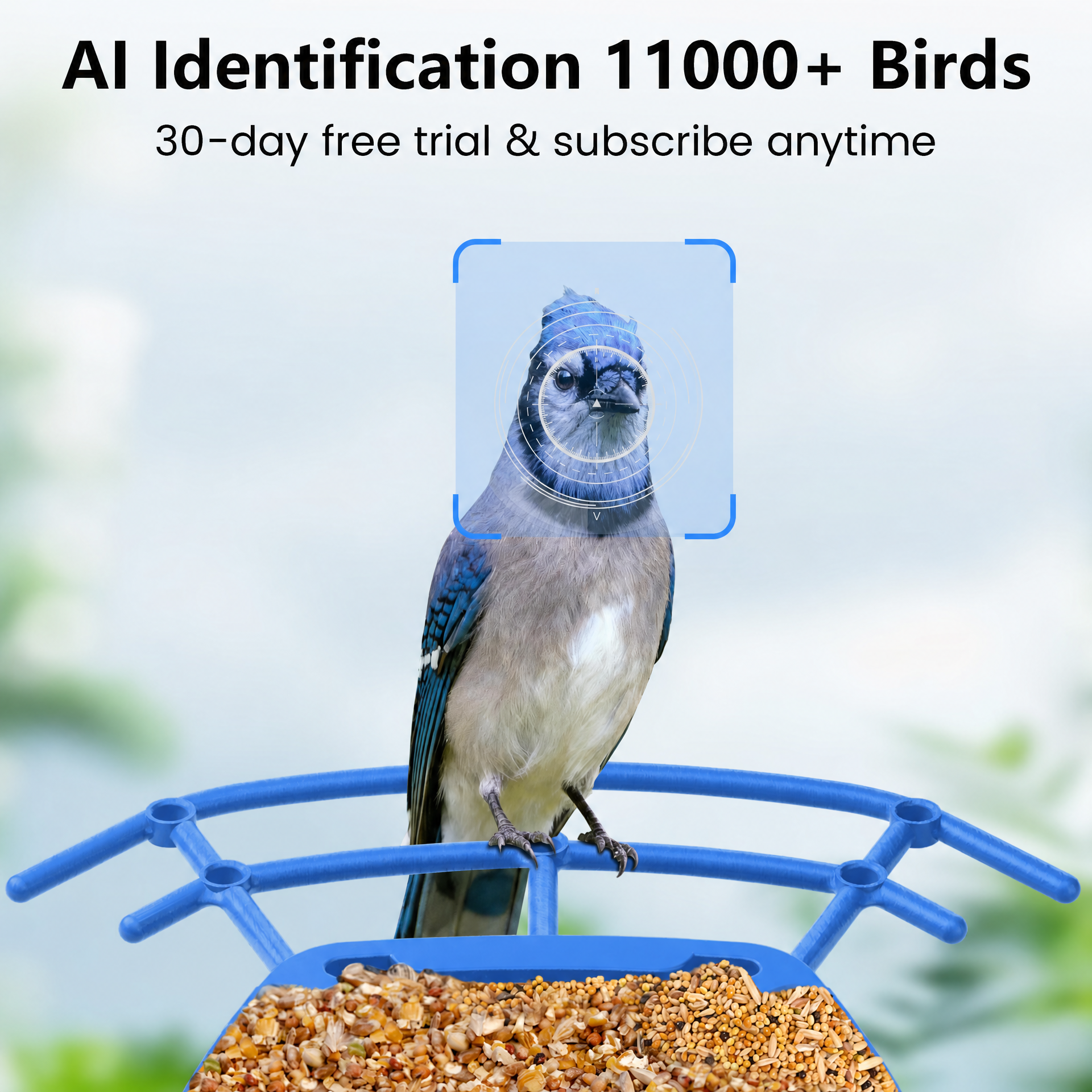 2.5K HD Smart Bird Feeder with Solar Panel
