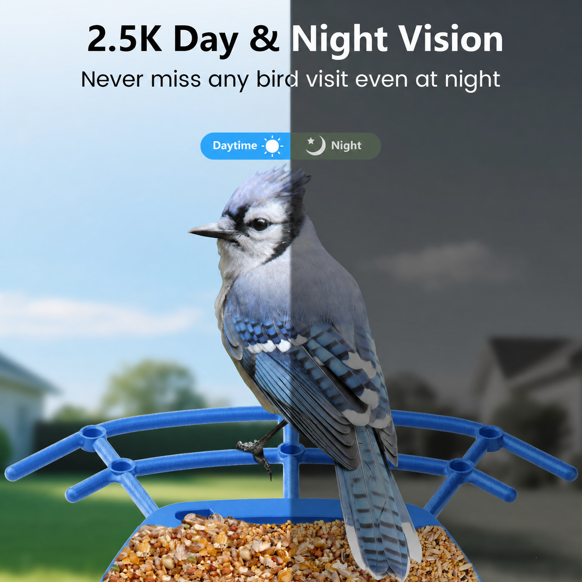 2.5K HD Smart Bird Feeder with Solar Panel