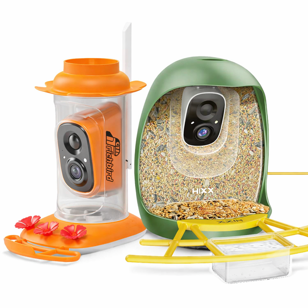 The Backyard Essentials Bundle