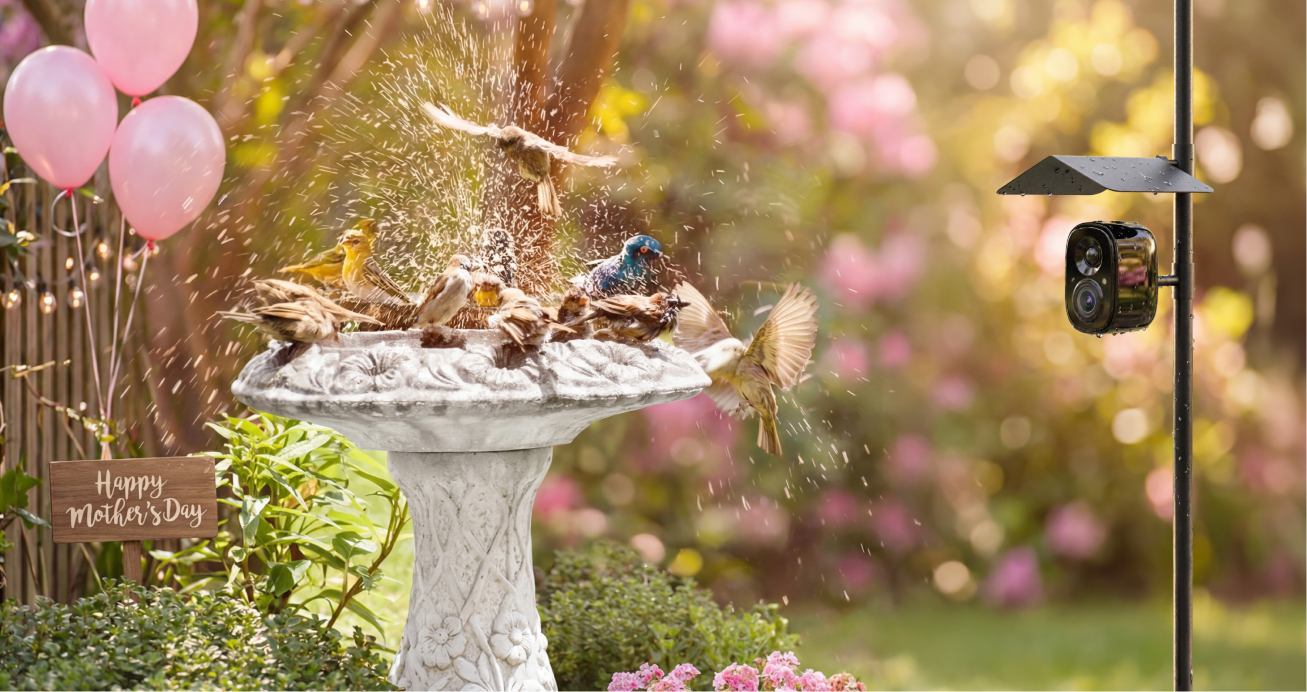 Reelook All-in-One Birdwathcing Station