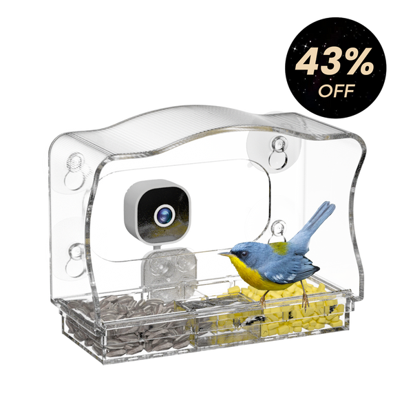 Glasee™ Smart Window Bird Feeder with Camera
