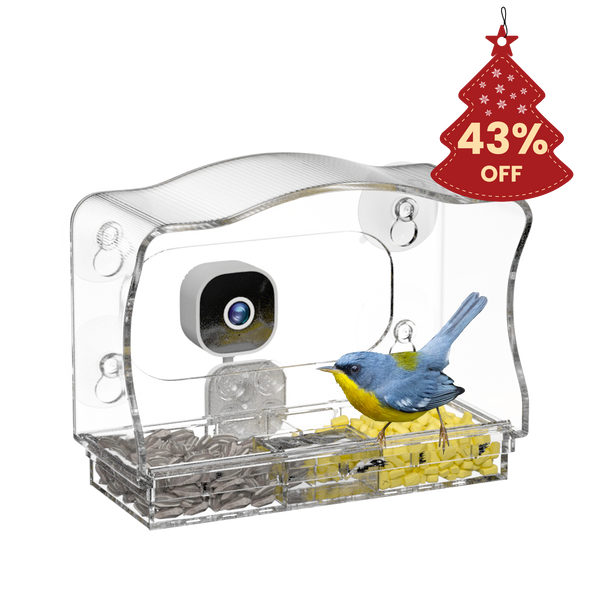 Glasee™ Smart Window Bird Feeder with Camera