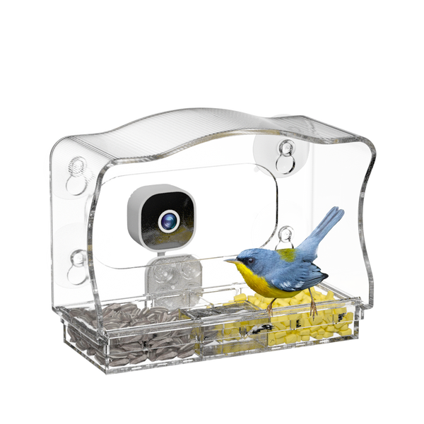 Glasee™ Smart Window Bird Feeder with Camera
