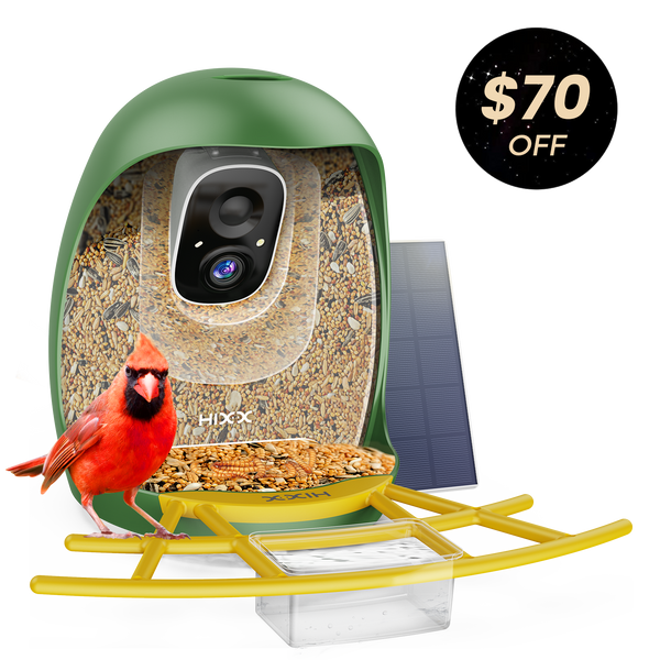 HiCIRCLE™ Smart Bird Feeder 2.0
