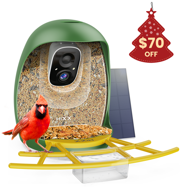 HiCIRCLE™ Smart Bird Feeder 2.0