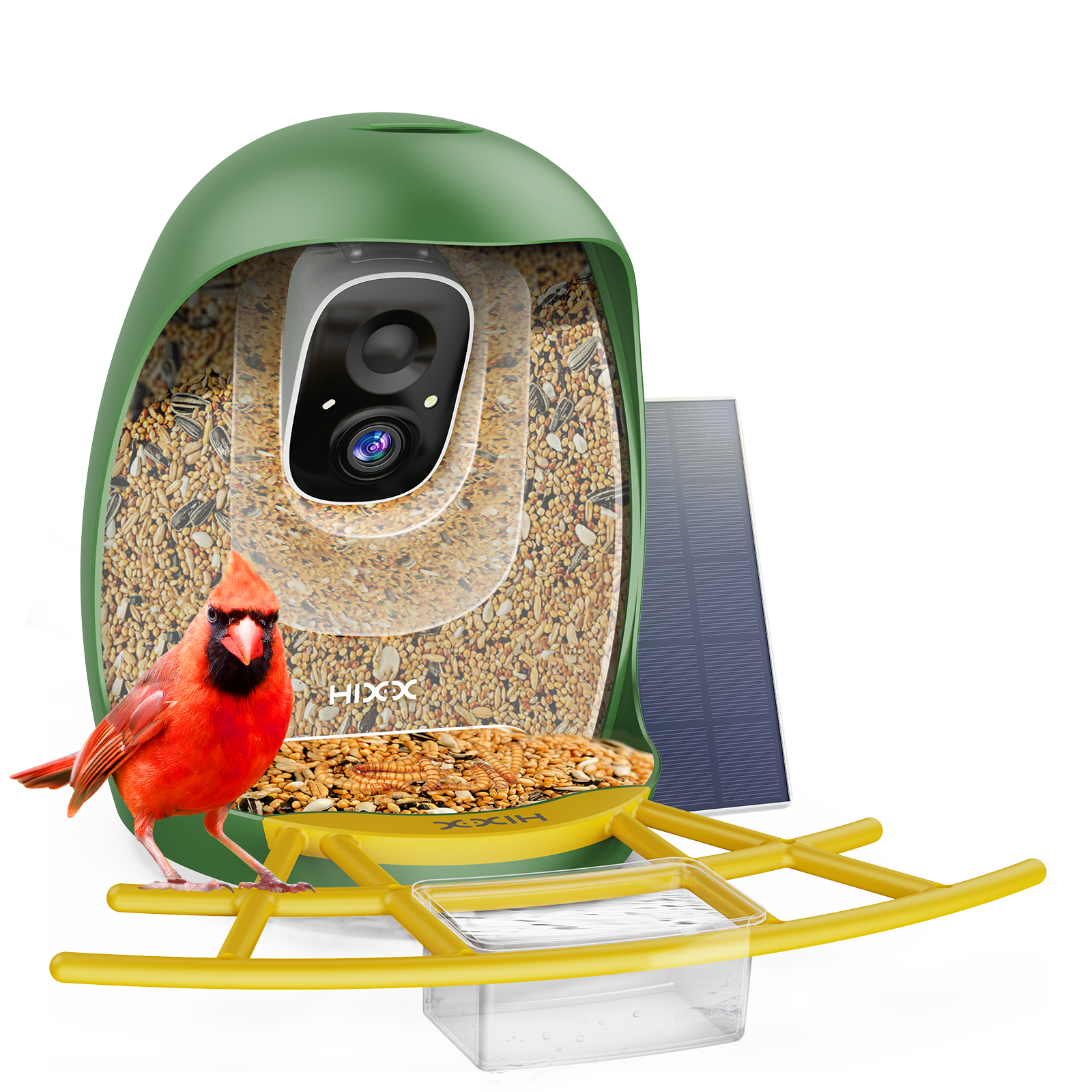HiCIRCLE™ Smart Bird Feeder 2.0