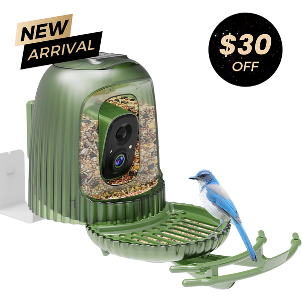 HiONE Smart Bird Feeder | 4MP