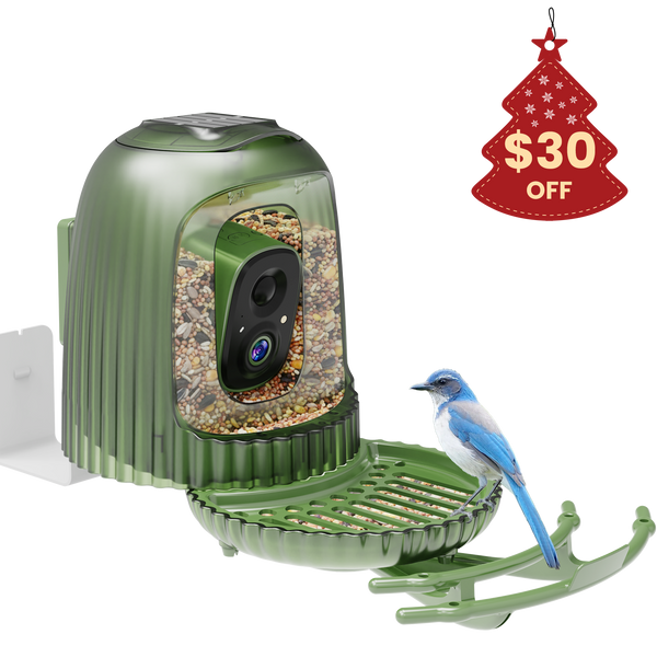 HiONE Smart Bird Feeder | 4MP