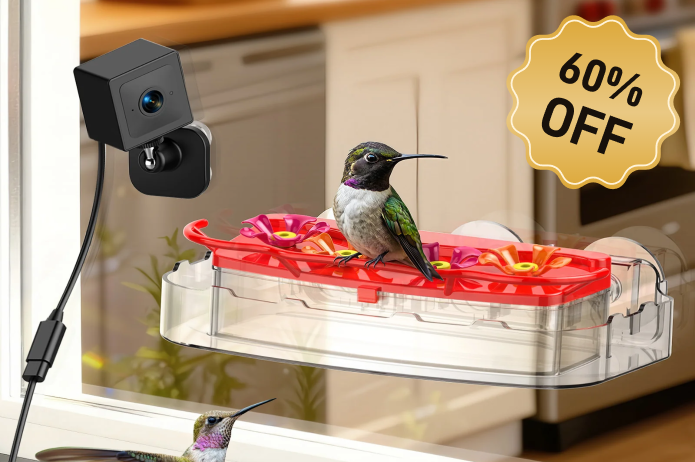 Nectlee Smart Window Hummingbird Feeder