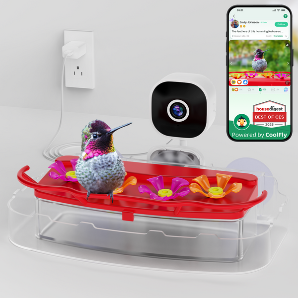 Nectlee Smart Window Hummingbird Feeder