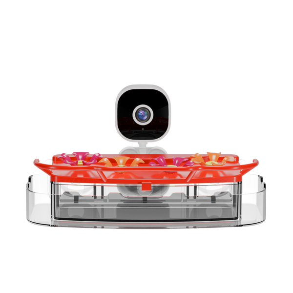 Nectlee Smart Window Hummingbird Feeder