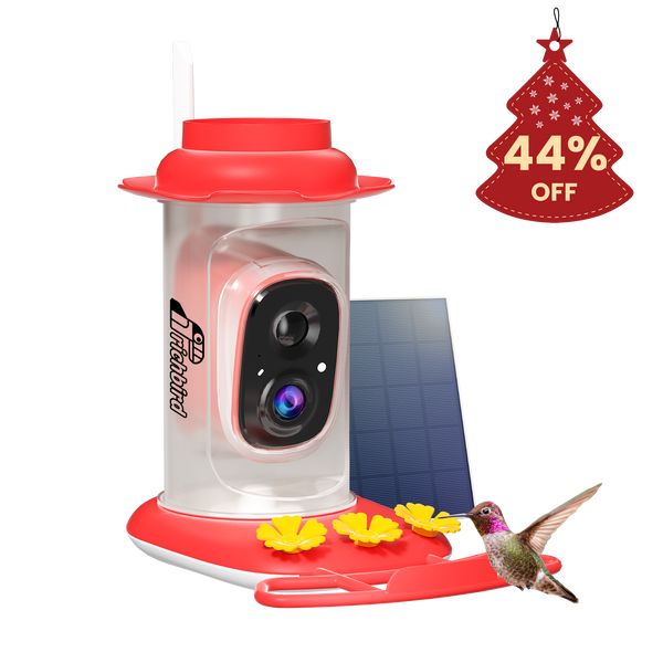 Rapidity™ Smart Hummingbird Feeder