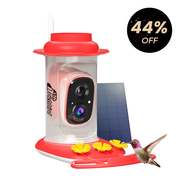 Rapidity™ Smart Hummingbird Feeder