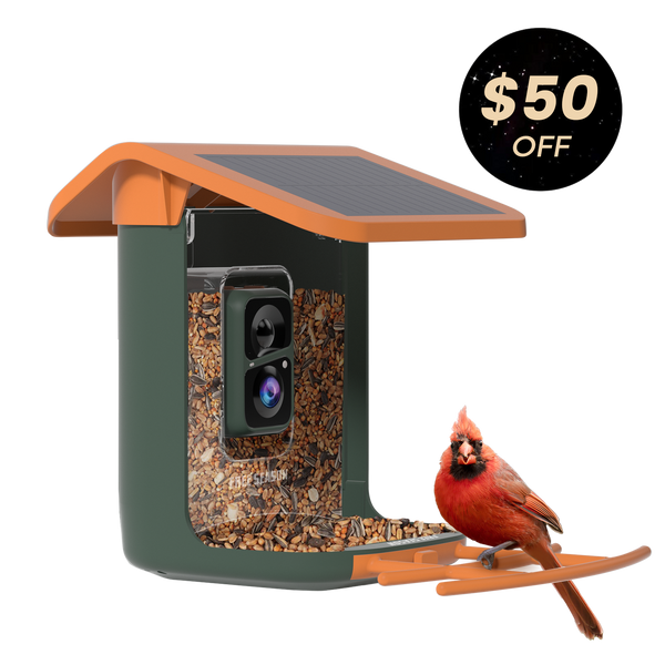 Rayna™ Smart Bird Feeder | Solar Roof