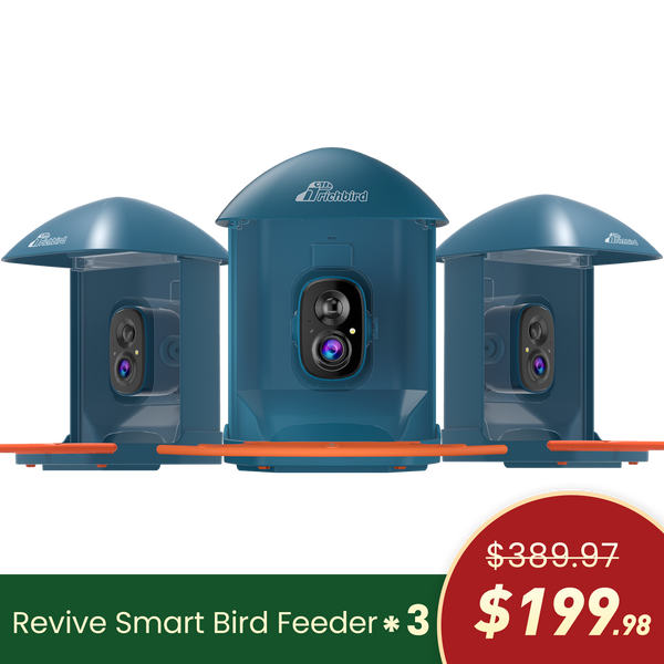 Revive™ Smart Feeder Gifting Bundle (3-Pack)