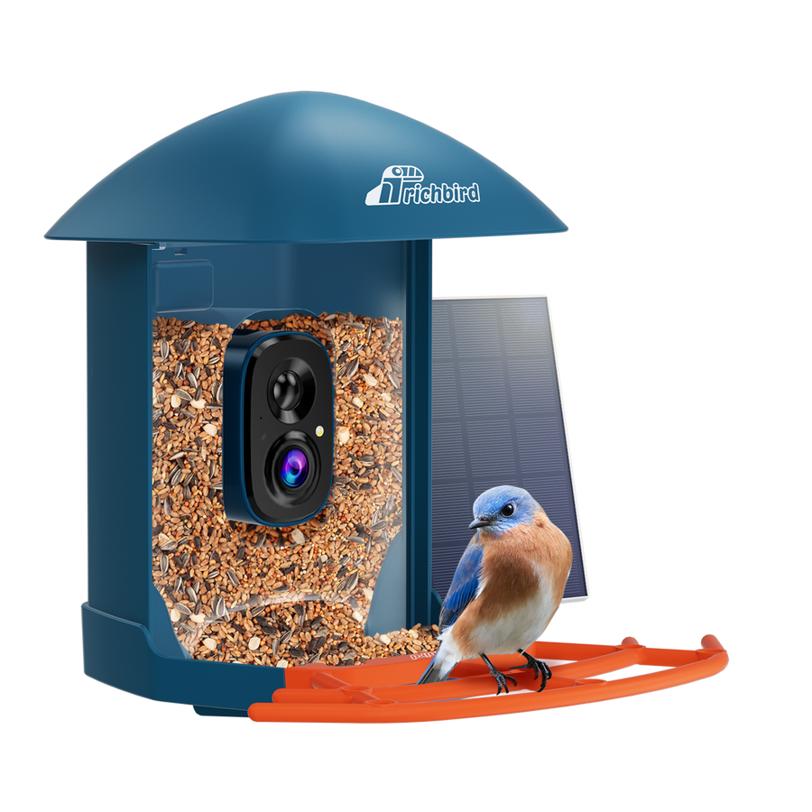 Interactive Birding Community