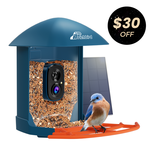 Revive™ Smart Bird Feeder
