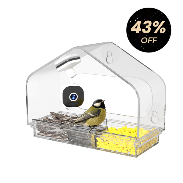 Rivue™ Smart Window Bird Feeder with Camera