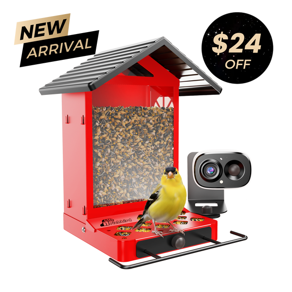 Rusto Pro Smart Bird Feeder| Metal