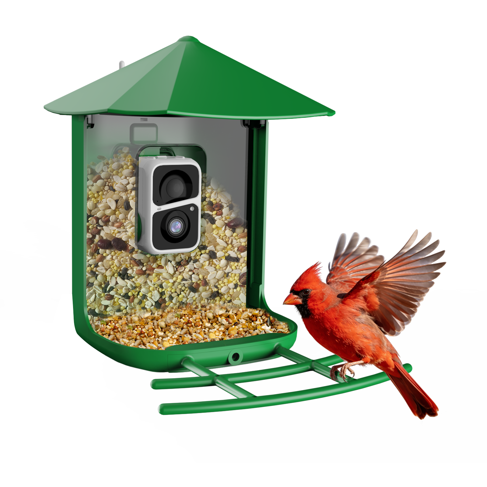 Orivanta Smart Bird Feeder｜ 2K HD