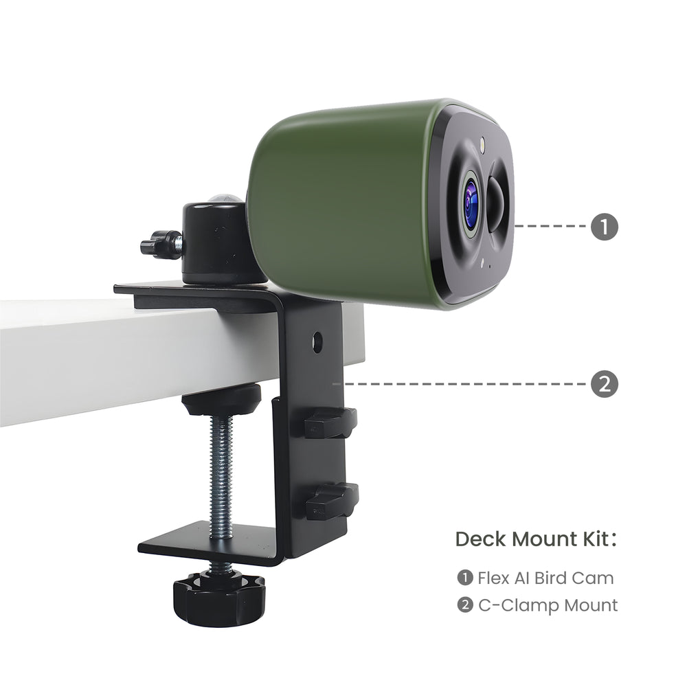 Flex AI Bird Cam – COOLFLY