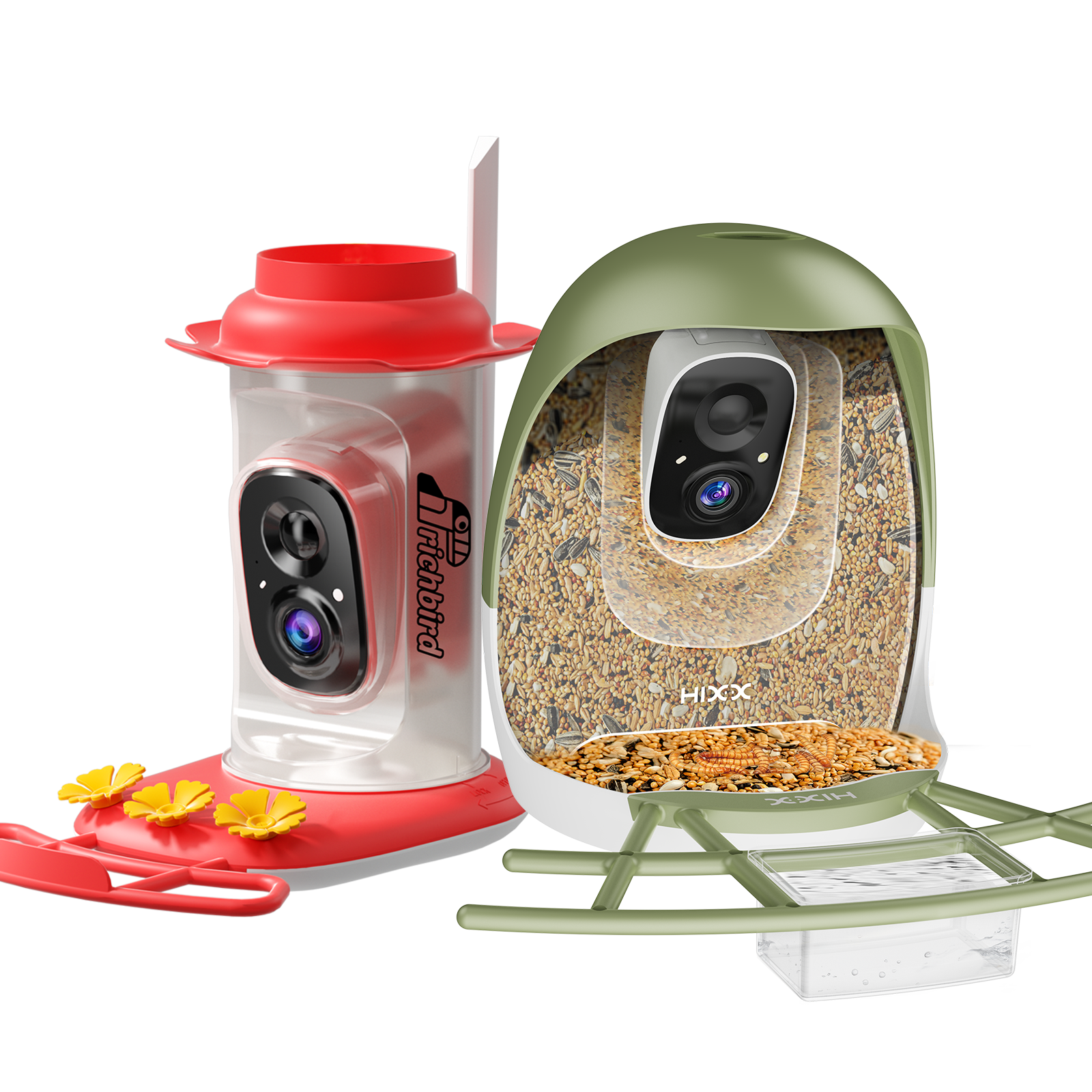 The Backyard Essentials Bundle