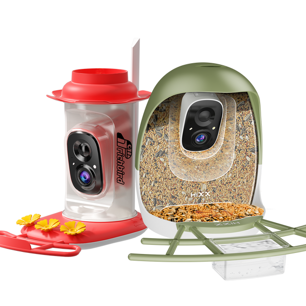 The Backyard Essentials Bundle