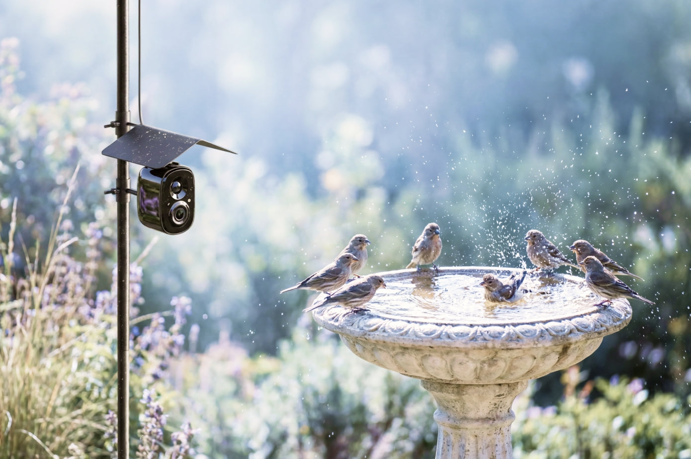 Reelook All-in-One Birdwathcing Station
