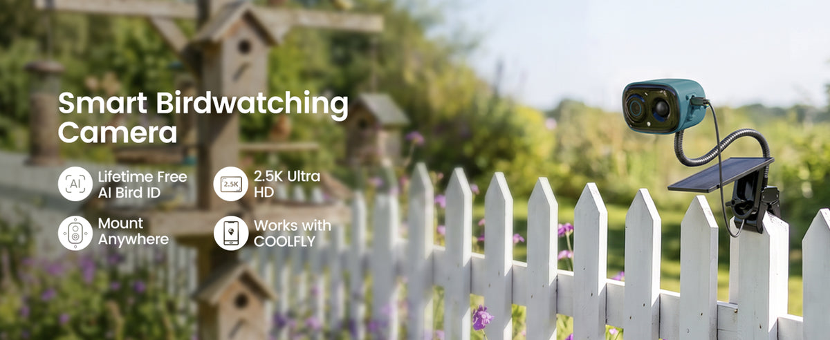 Deep Blue Flex20 camera positioned beside a bird bath