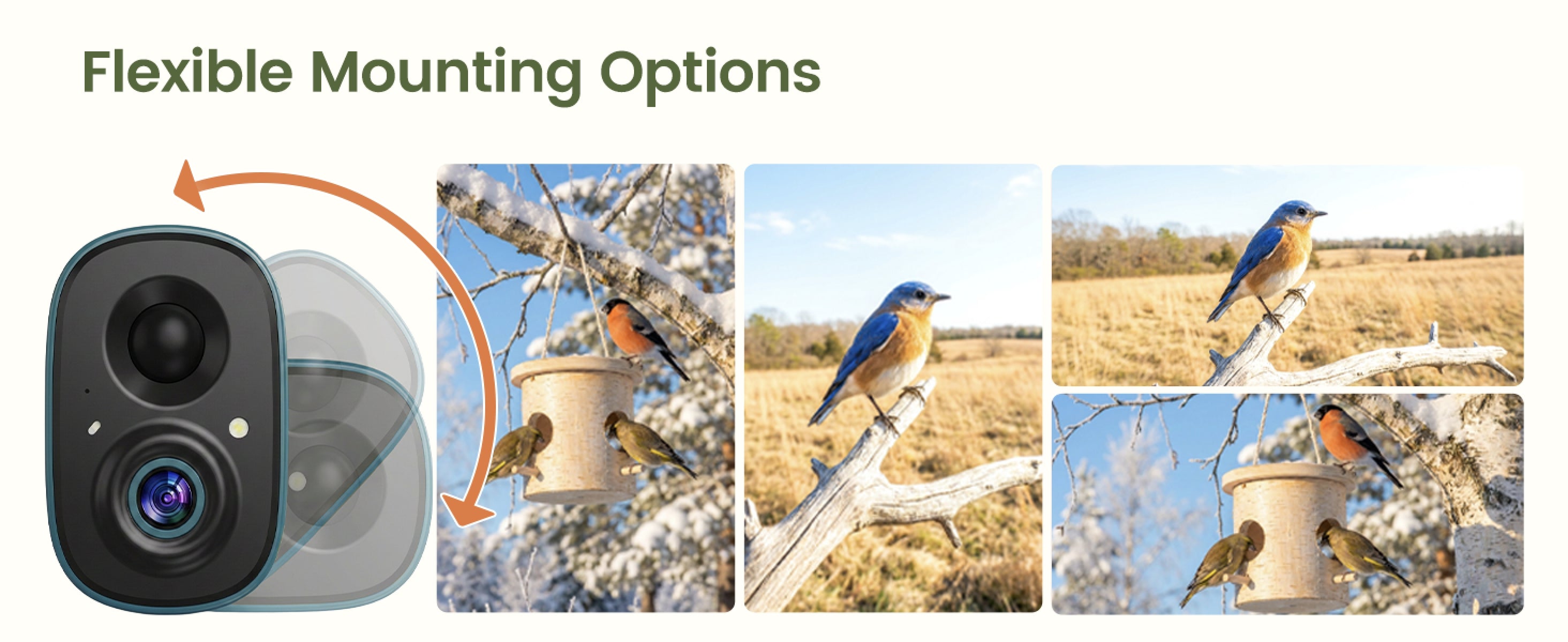 Flex20 camera showing adjustable mounting angles and birdwatching views
