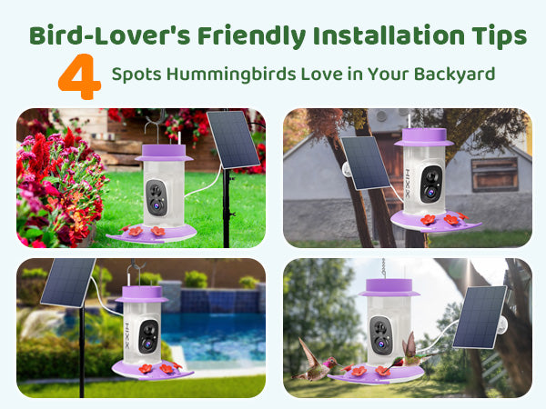 10. Enjoy Birds Anywhere, Not Just in a Backyard
