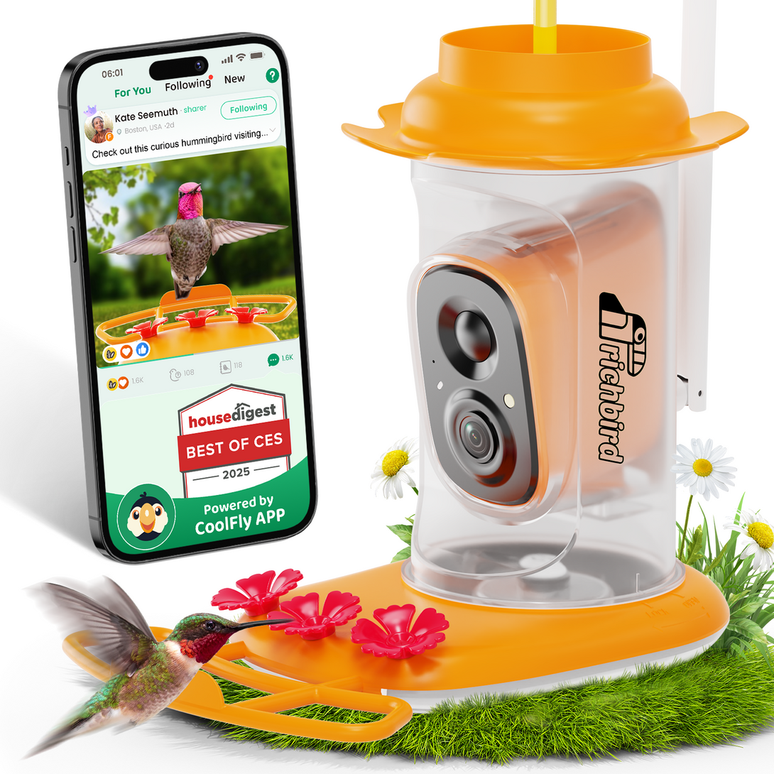 RichBird® Smart Hummingbird Feeder