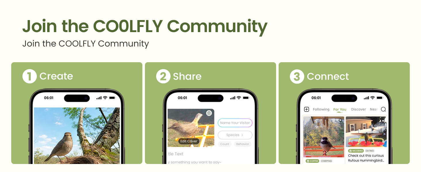 COOLFLY App bird post screen