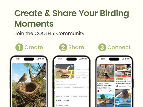 Watch live. Share your birding moments.