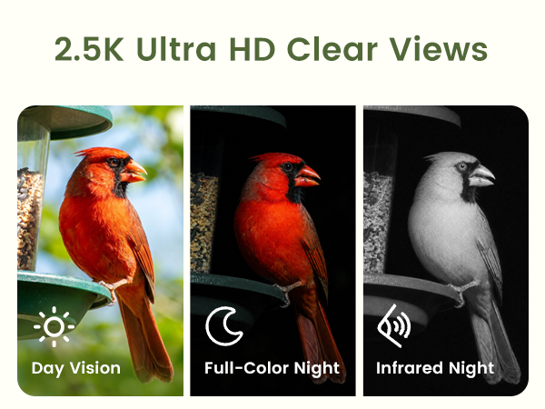 A closer look, day and night.